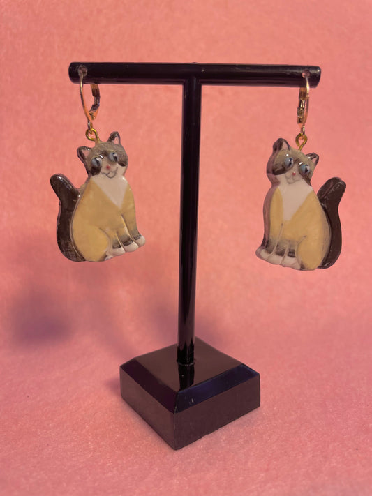 Snowshoe Cats