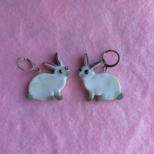 White & Gray Bunnies