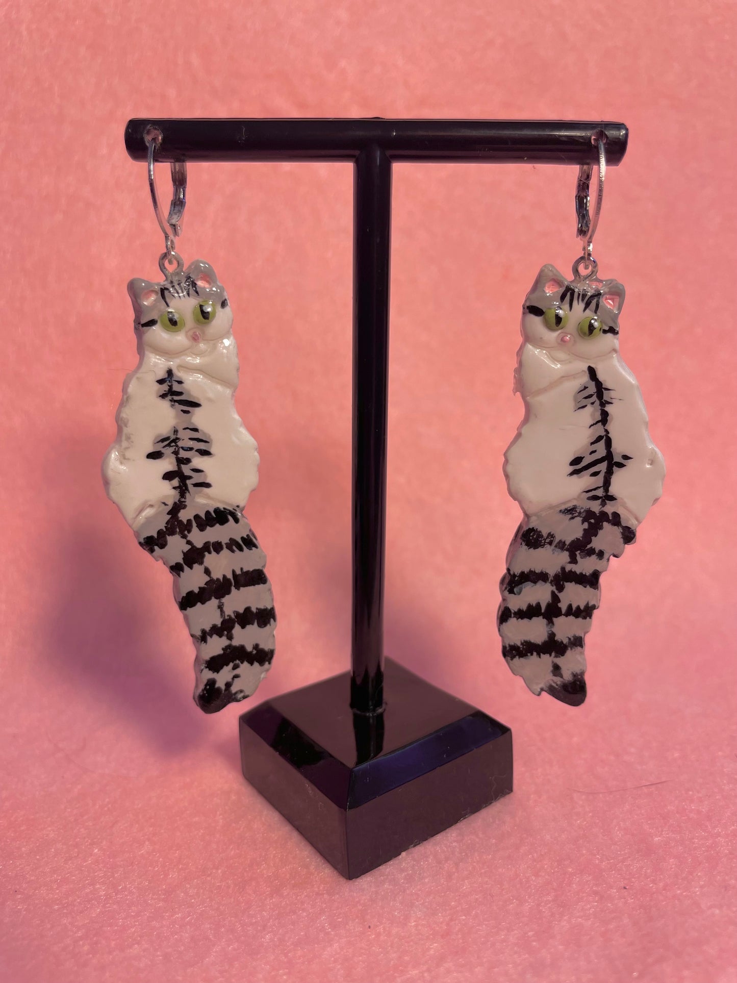 Tabby & White Cats