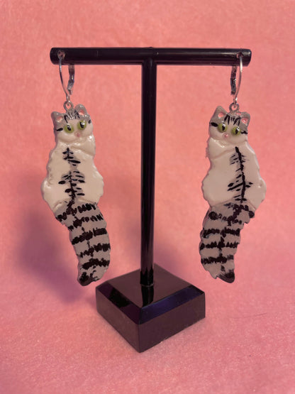 Tabby & White Cats