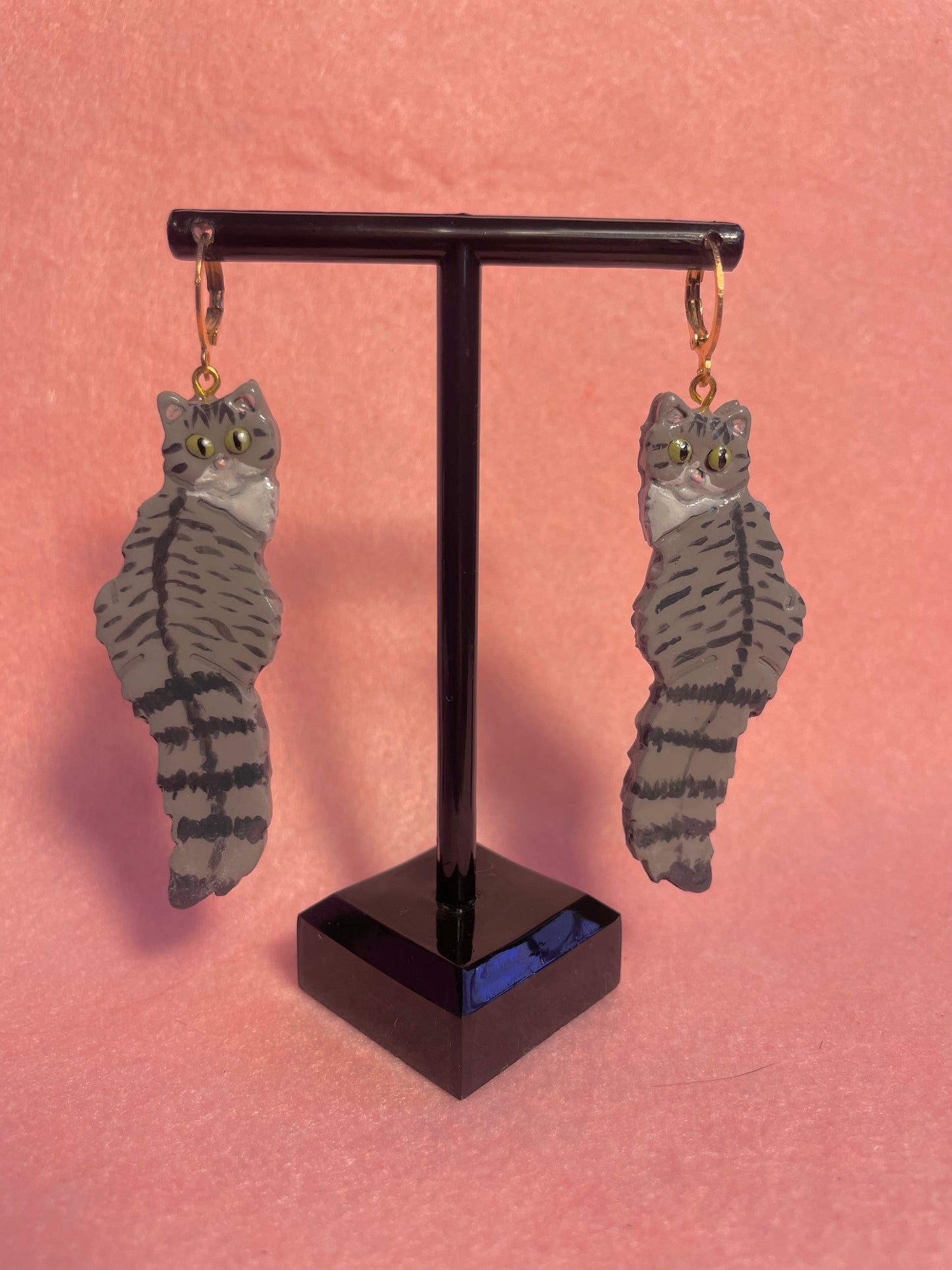 Tabby & White Cats
