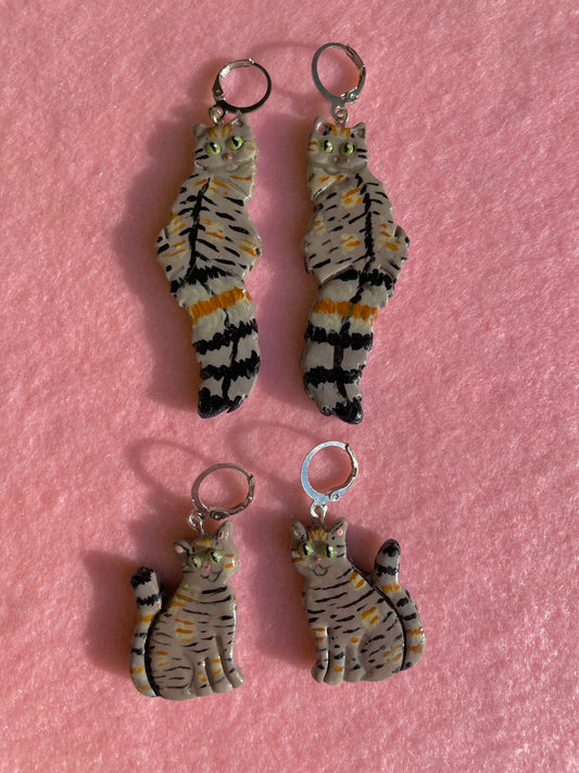 Multicolored Tabby Cats