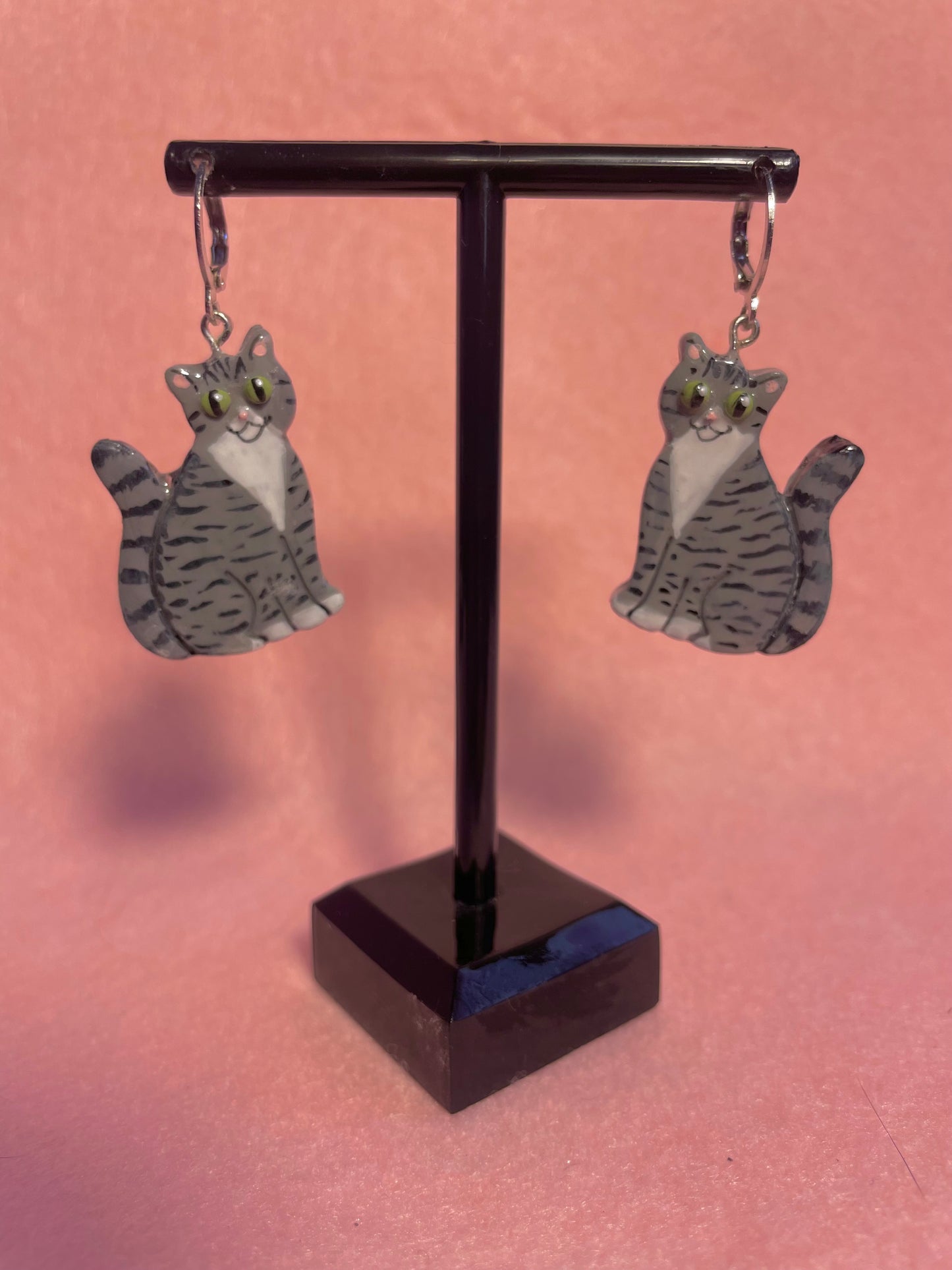 Tabby & White Cats