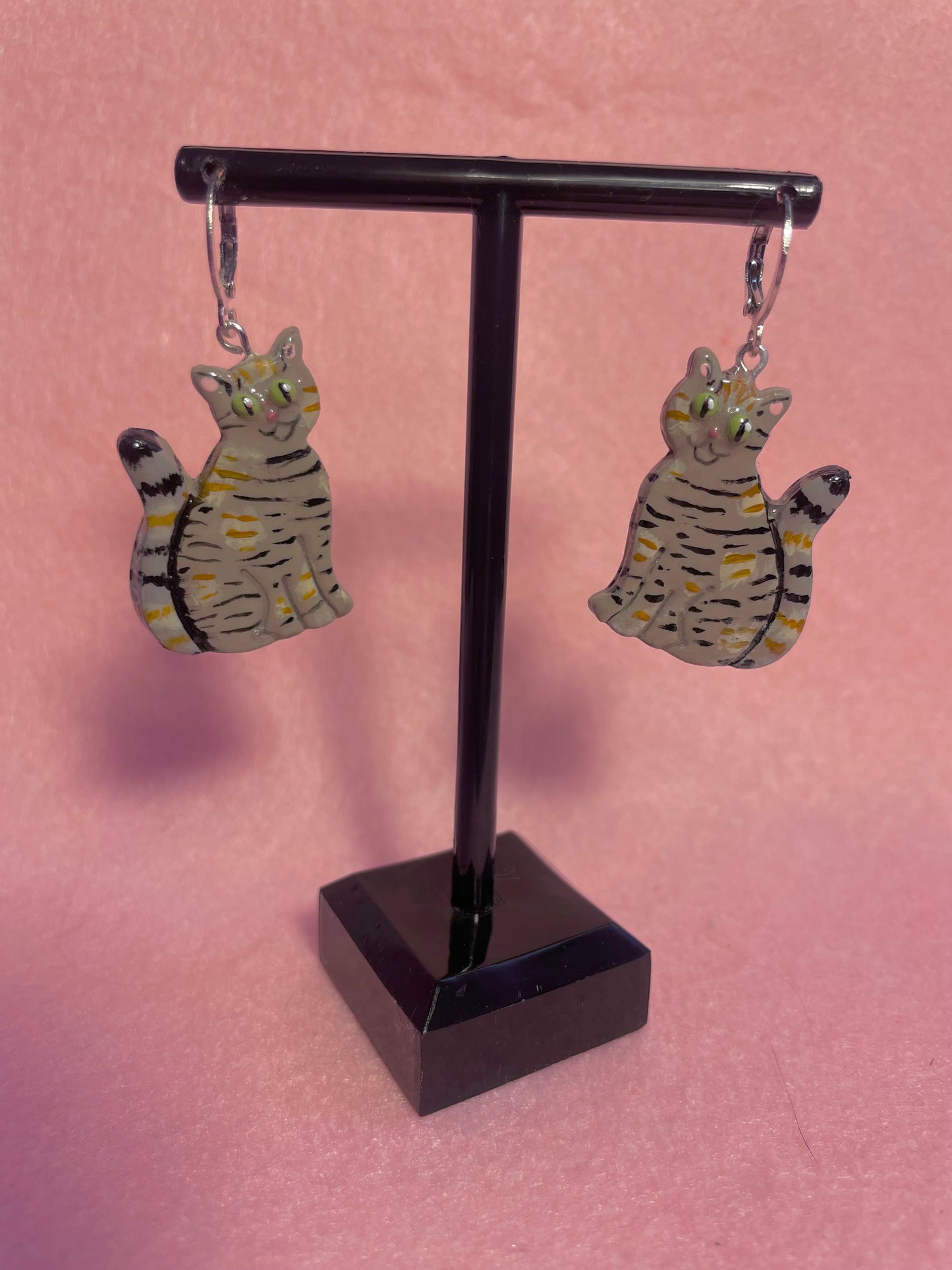 Multicolored Tabby Cats