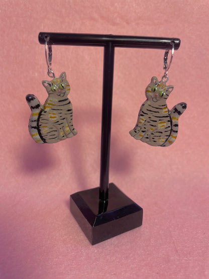 Multicolored Tabby Cats