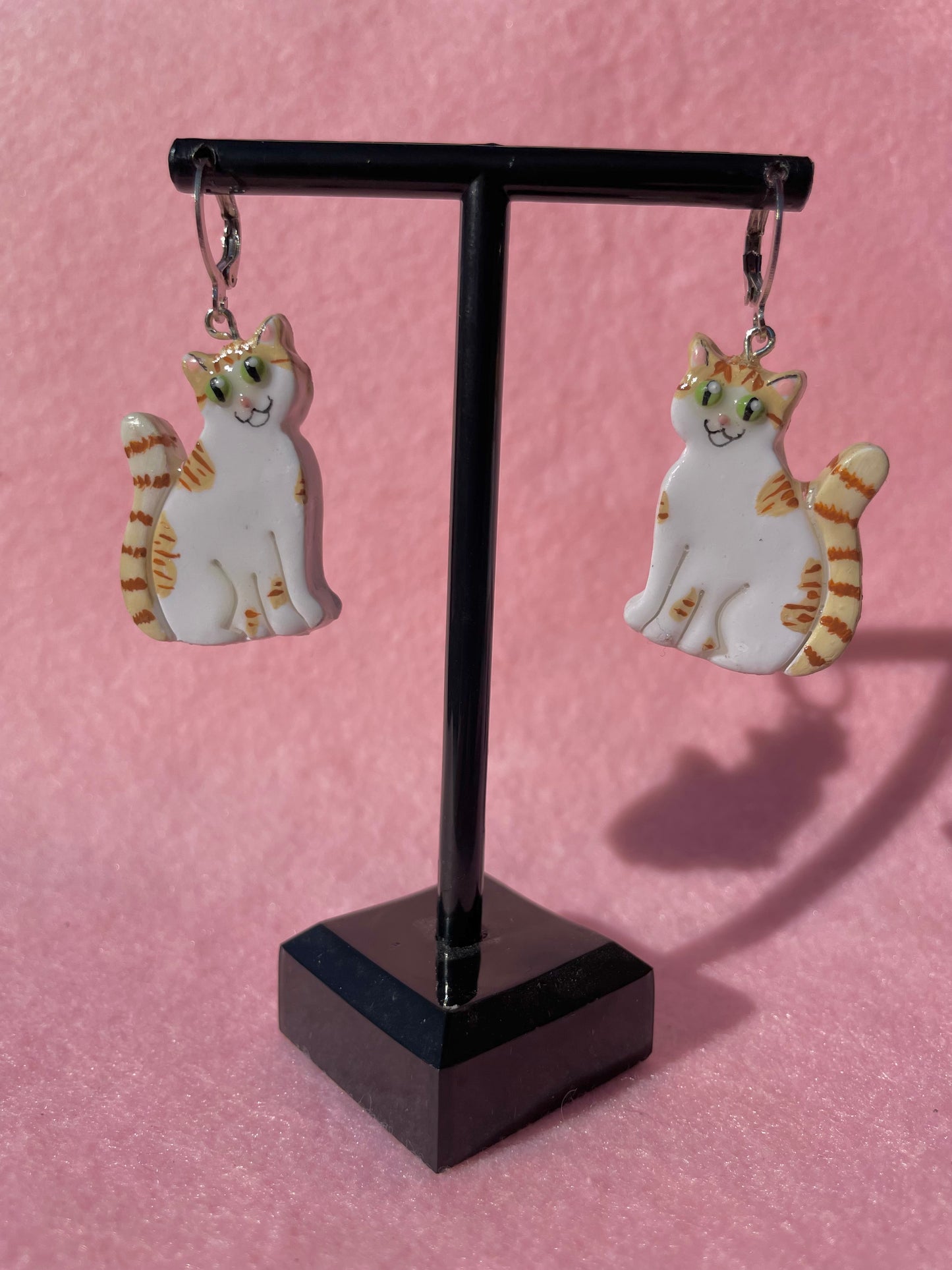 Orange Tabby & White Cats