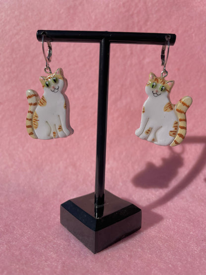 Orange Tabby & White Cats