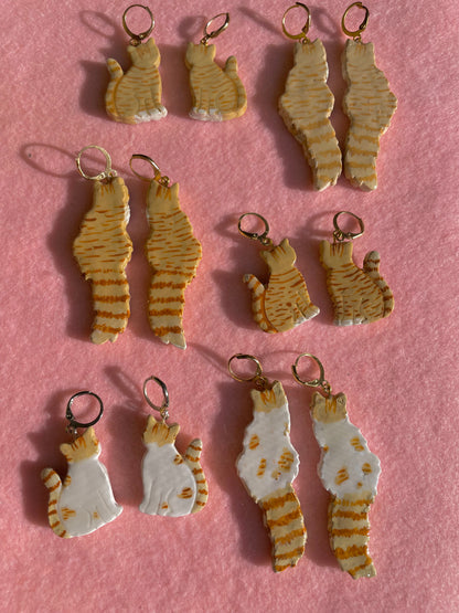 Orange Tabby & White Cats