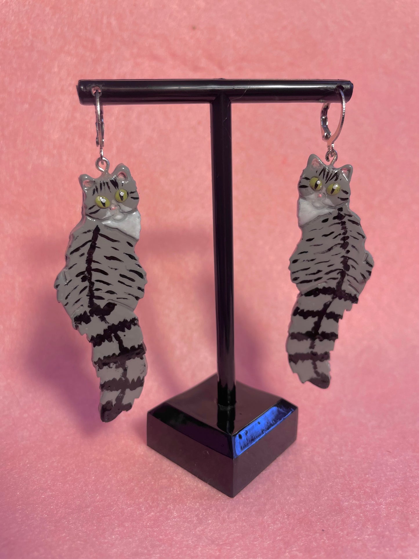 Tabby & White Cats