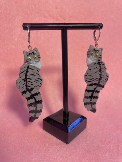 Tabby & White Cats