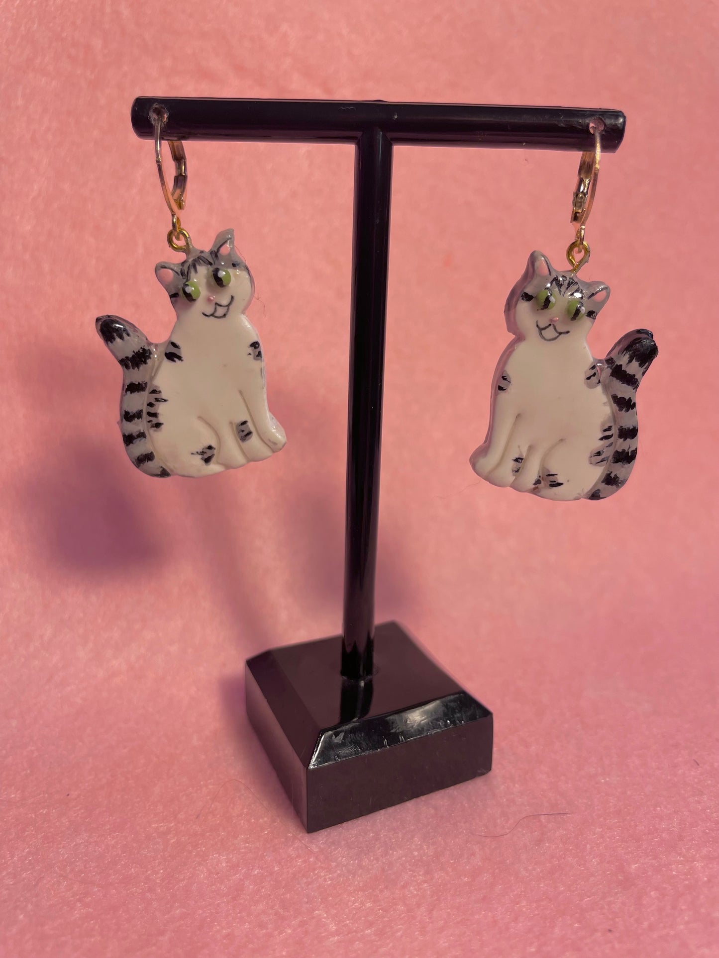 Tabby & White Cats
