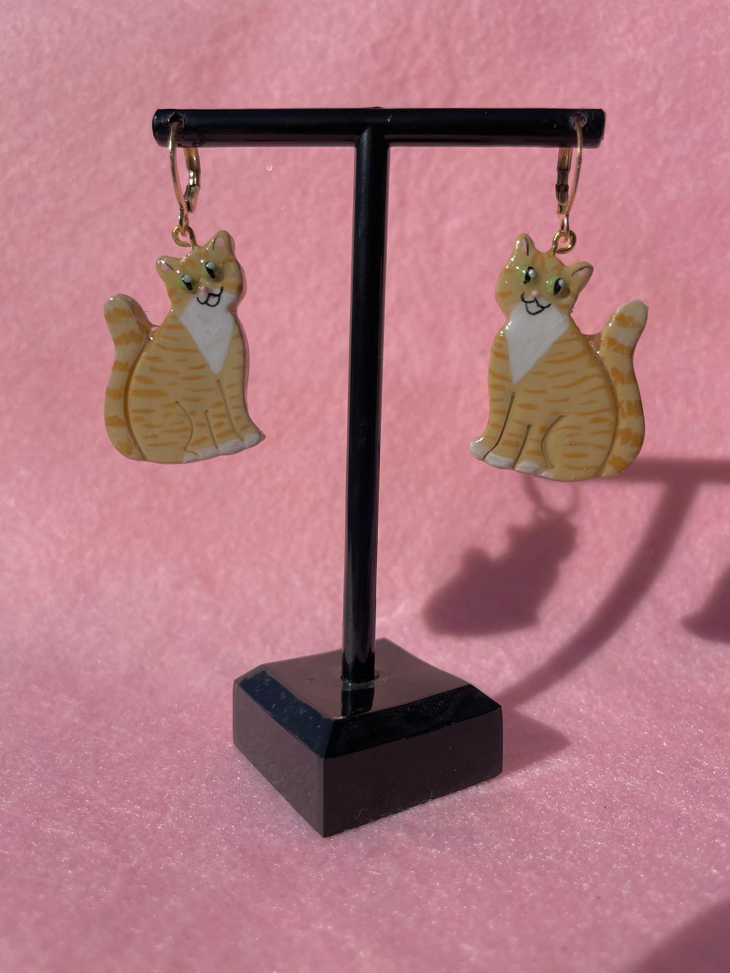 Orange Tabby & White Cats