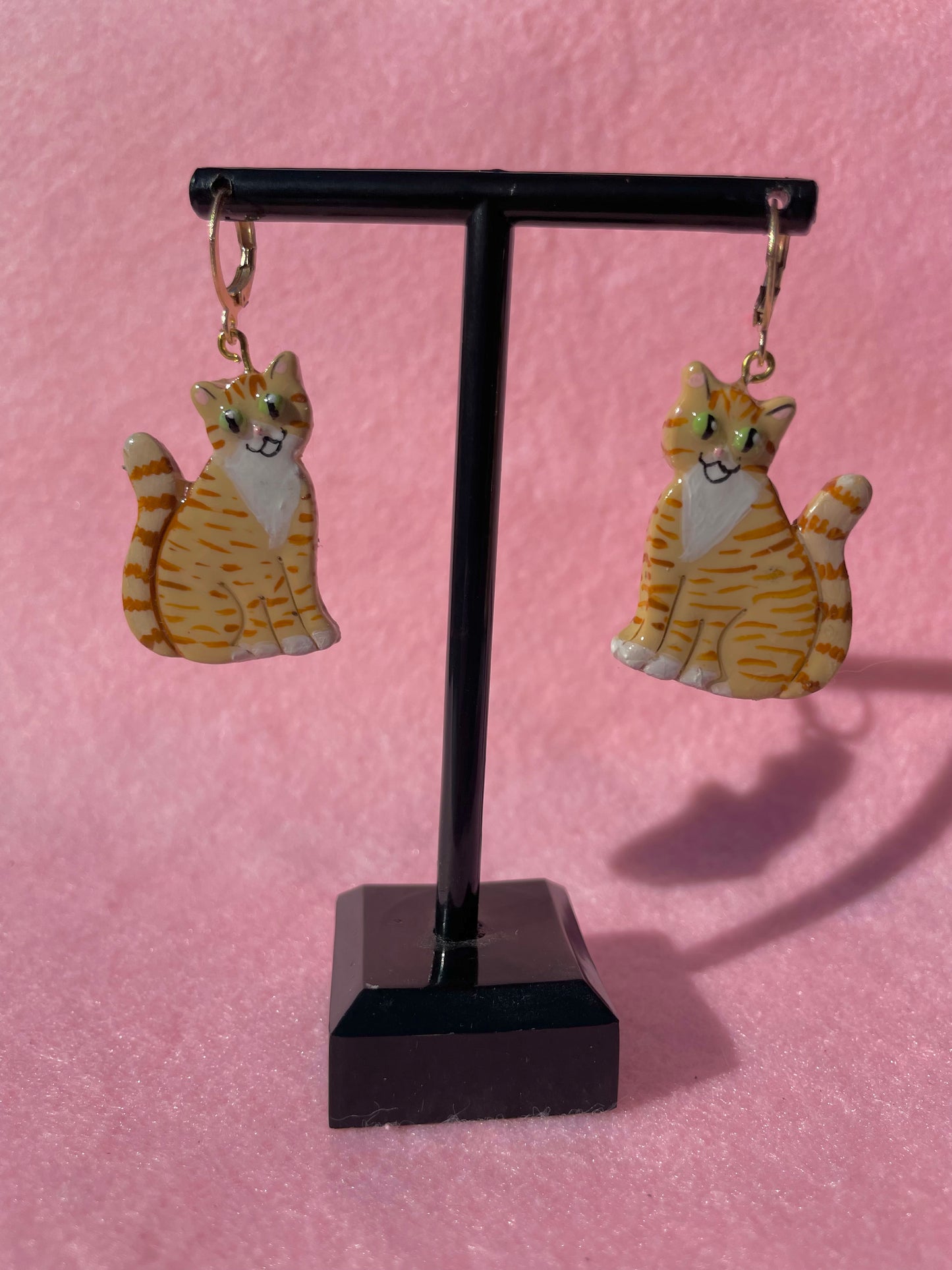 Orange Tabby & White Cats