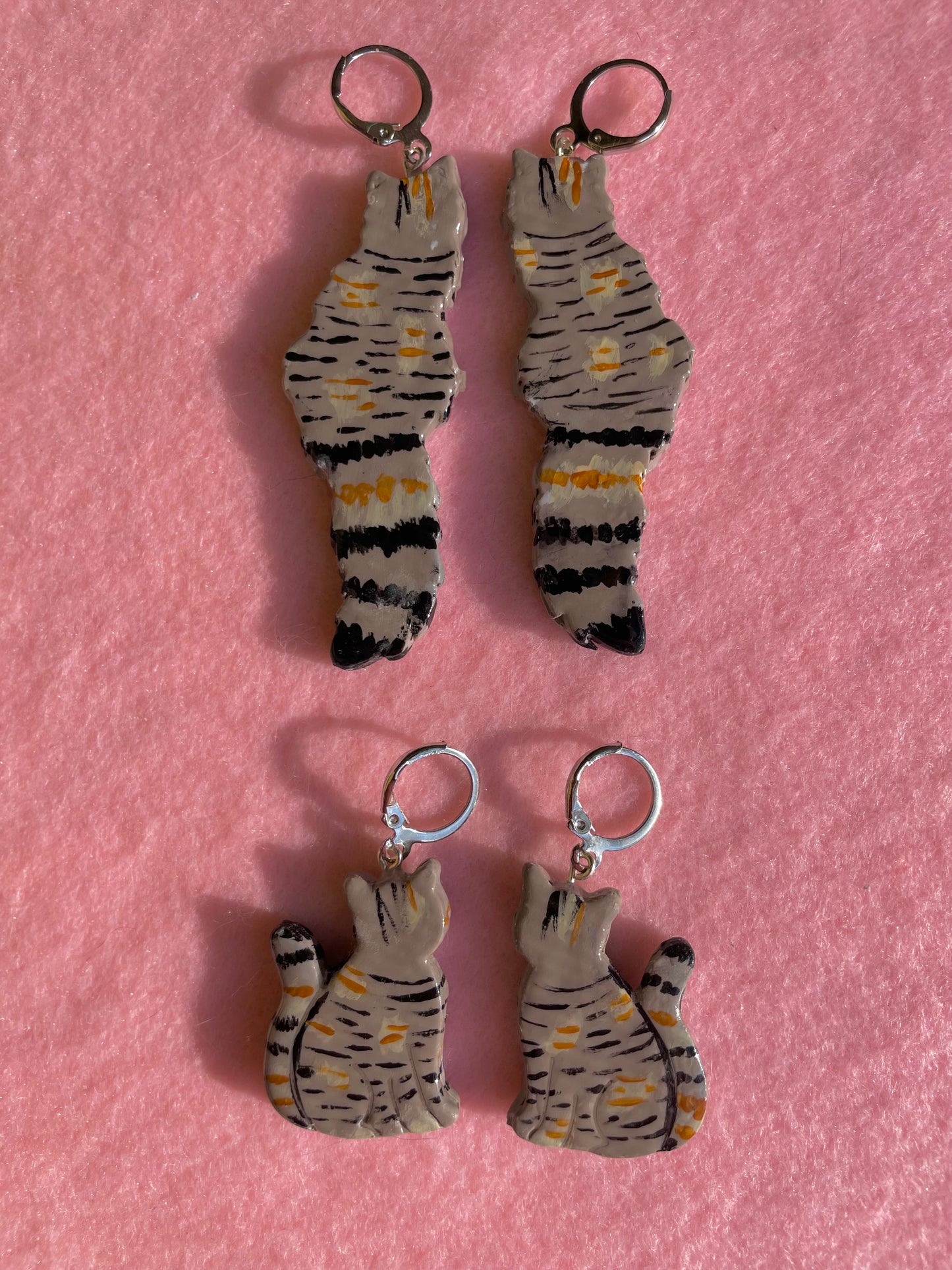 Multicolored Tabby Cats