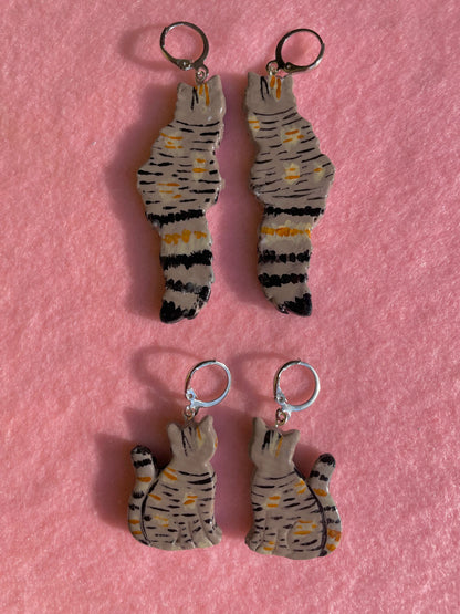 Multicolored Tabby Cats