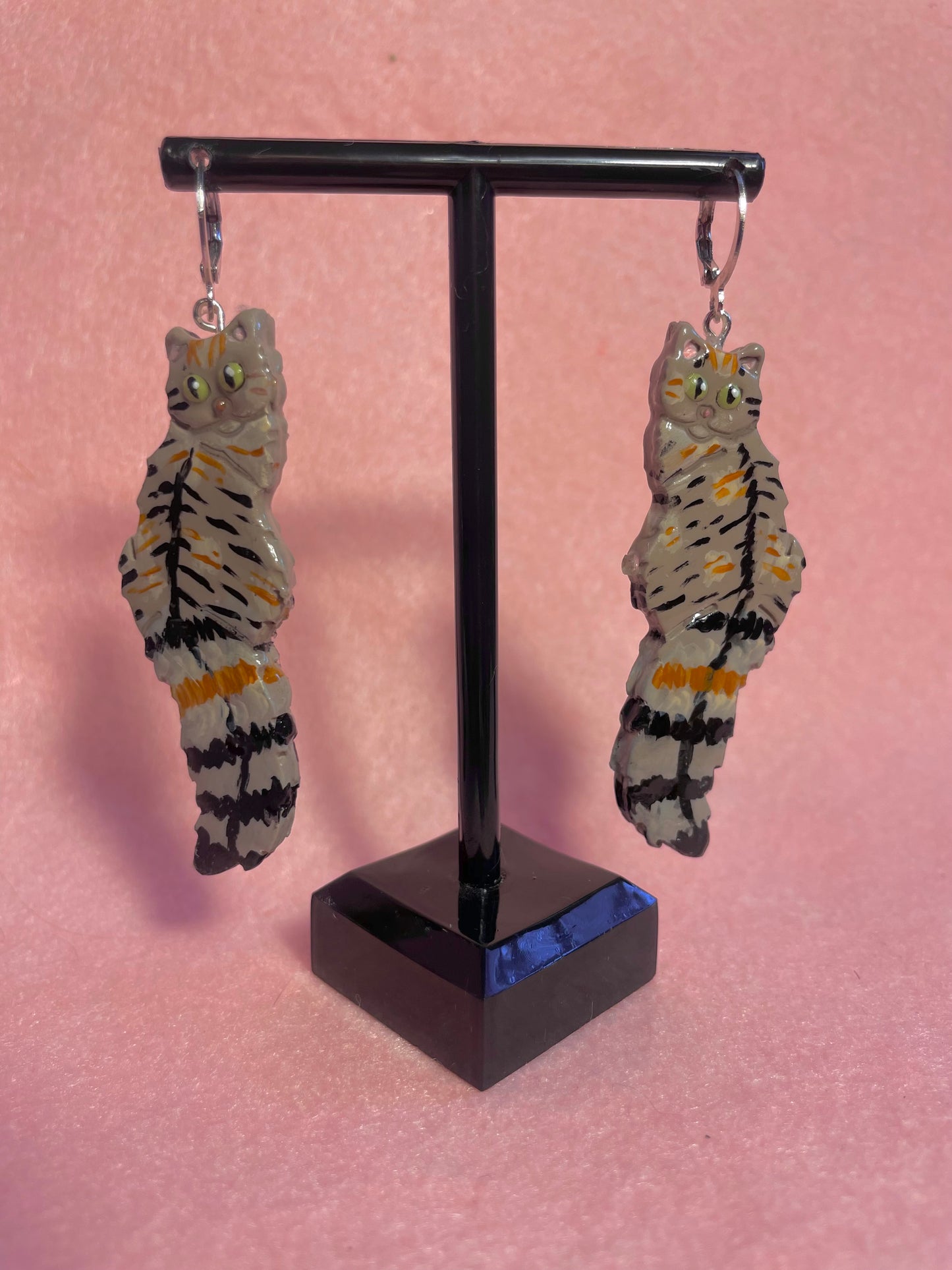 Multicolored Tabby Cats