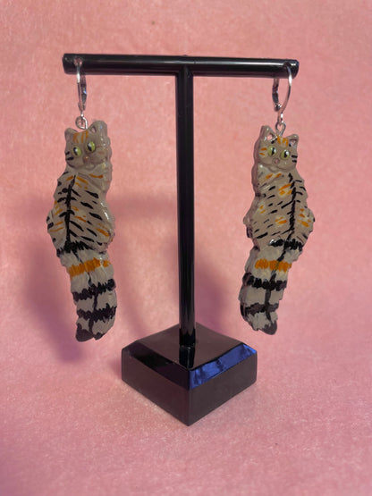 Multicolored Tabby Cats