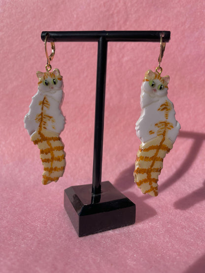 Orange Tabby & White Cats