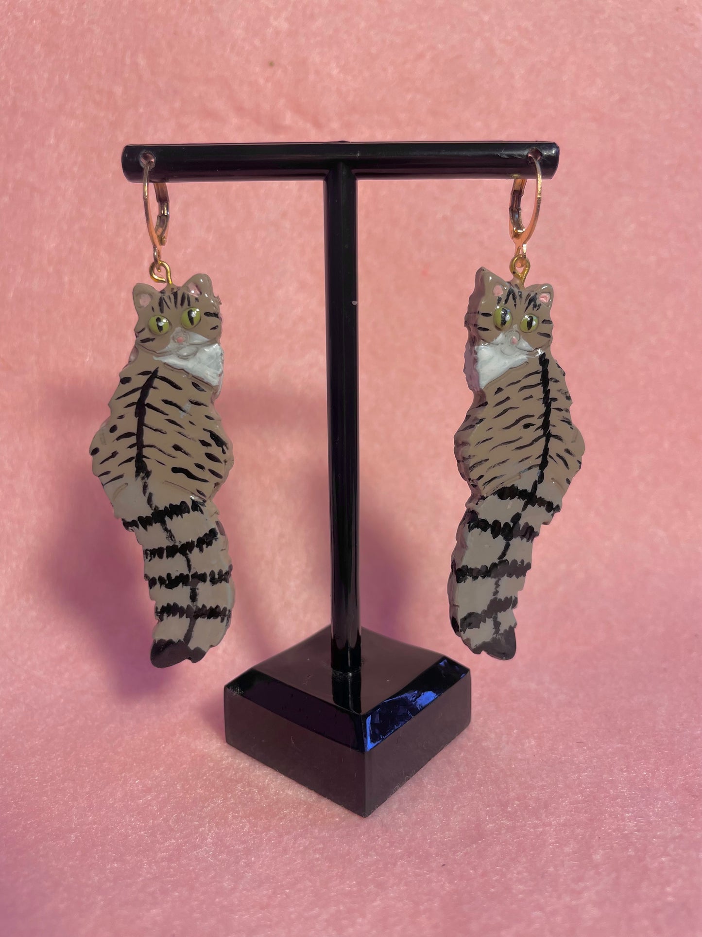 Tabby & White Cats