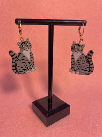 Tabby & White Cats