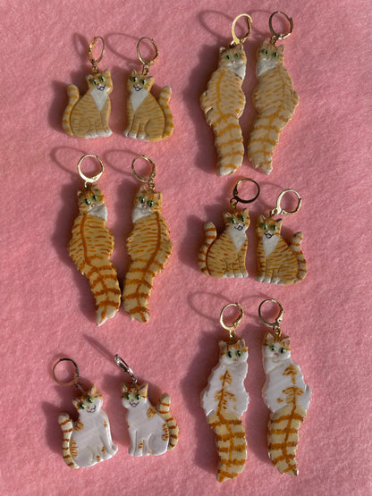 Orange Tabby & White Cats