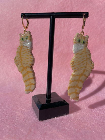 Orange Tabby & White Cats